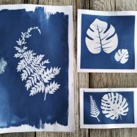 Découverte cyanotype